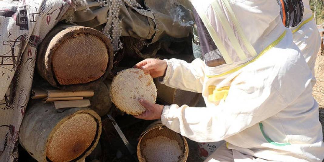 Boşaltılan köyüne özel izinle gitti, üretime geçti! Yılda 2,5 tona ulaşıyor: Geri dönüş için umut olduğunu düşünüyor 1